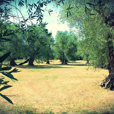 Citrigni Lantgård *