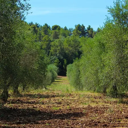 Agroturismo Citrigni *