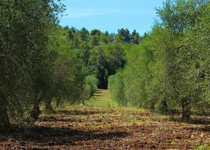 בית חווה Citrigni *