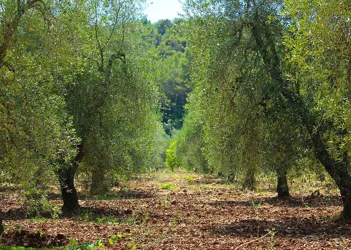 בית חווה Citrigni